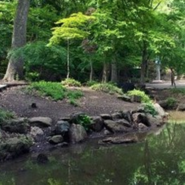 Shiba Park